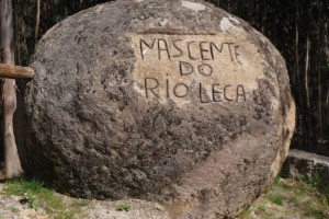 leca_5