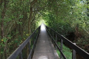 ponte-de-lima-03