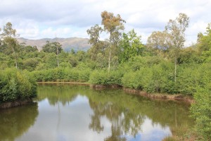 ponte-de-lima-06