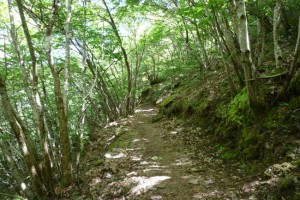 santiago_6